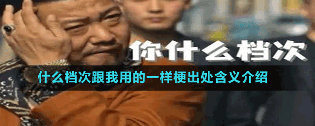 什么档次跟我用的一样梗出处含义介绍