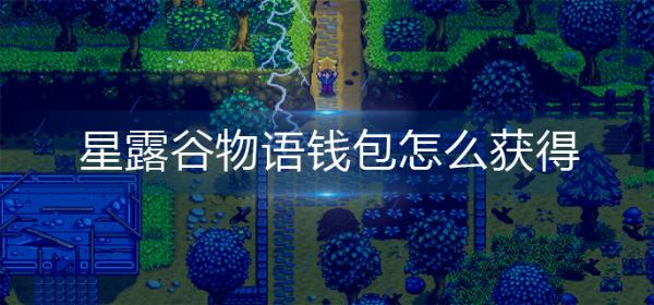 《星露谷物语》钱包如何获取？