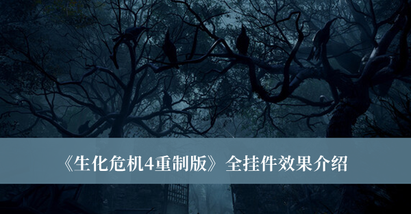 《生化危机4重制版》全挂件效果大全一览
