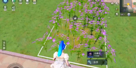 《和平精英》花圃种子在哪买