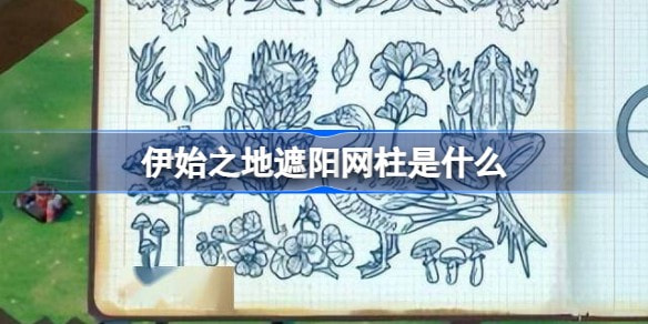 伊始之地遮阳网柱是什么？