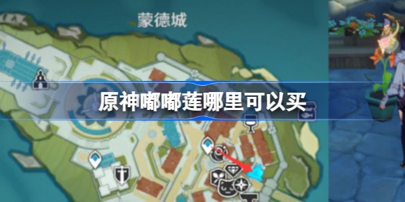 原神嘟嘟莲哪里可以买 原神嘟嘟莲获取方式一览