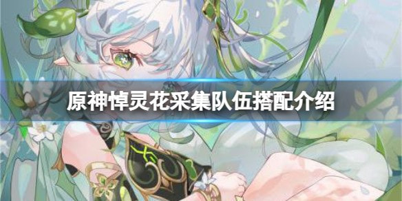 《原神》3.6悼灵花采集队伍搭配攻