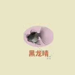 《桃源深处有人家》关六菲喜好介绍