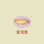《桃源深处有人家》关六菲喜好介绍