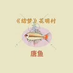 《桃源深处有人家》关六菲喜好介绍