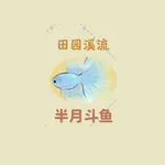《桃源深处有人家》货郎喜好介绍