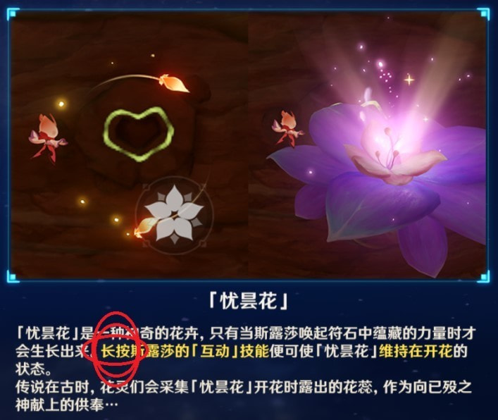 《原神》忧昙花的花蕊收集攻略