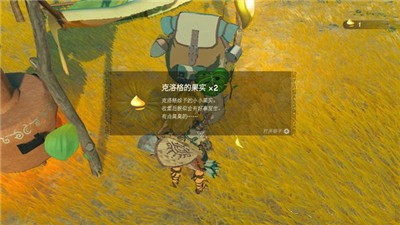 《塞尔达传说王国之泪》克洛格果实获得方法攻略