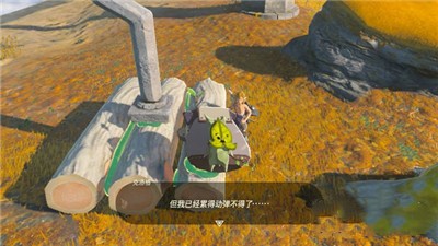 《塞尔达传说王国之泪》克洛格果实获得方法攻略