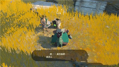 《塞尔达传说王国之泪》克洛格果实获得方法攻略