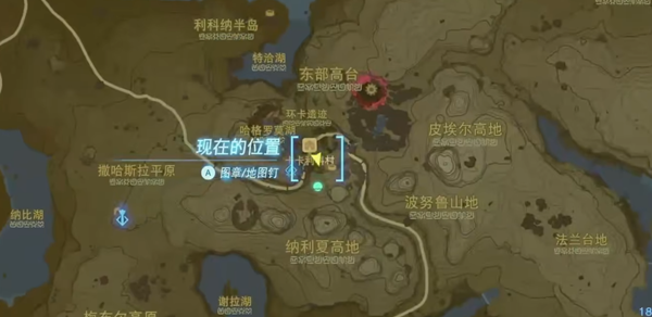 王国之泪静静萤火虫位置介绍