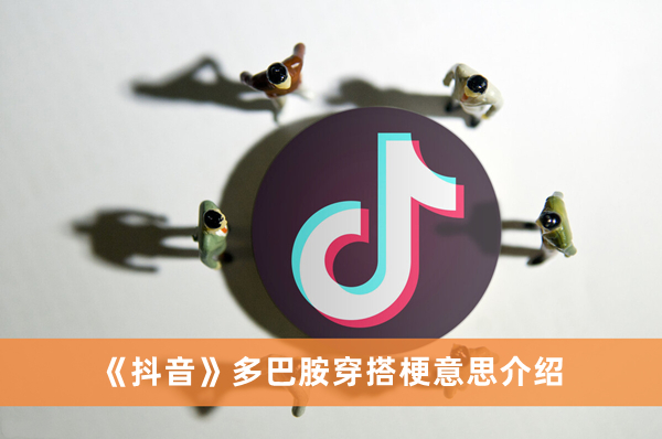 《抖音》多巴胺穿搭梗出处及含义