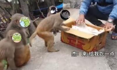 《抖音》故氏点外卖梗意思介绍