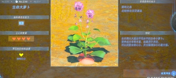 王国之泪生命大萝卜位置攻略
