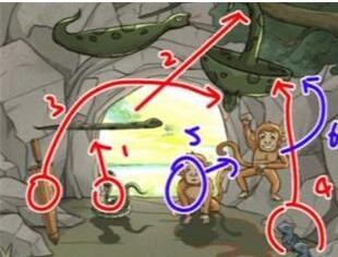 《全民汉字王》动物躲猫猫帮助小动物躲过老虎通关攻略 《全民汉字王》动物躲猫猫帮助小动物躲过老虎通关攻略