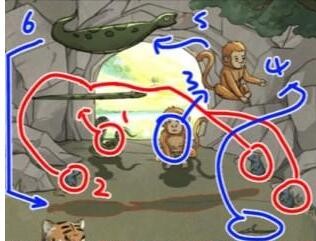 《全民汉字王》动物躲猫猫帮助小动物躲过老虎通关攻略 《全民汉字王》动物躲猫猫帮助小动物躲过老虎通关攻略