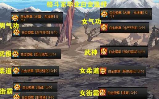 DNF全职业角色毕业白金徽章一览