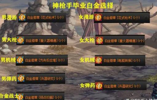 DNF全职业角色毕业白金徽章一览