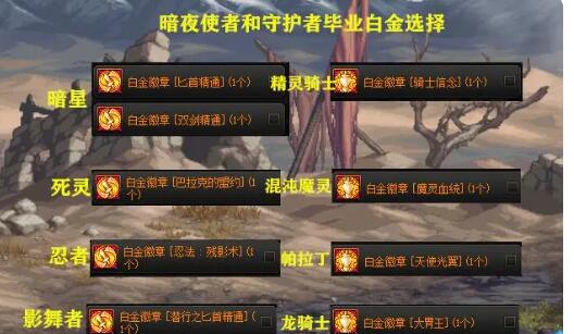 DNF全职业角色毕业白金徽章一览