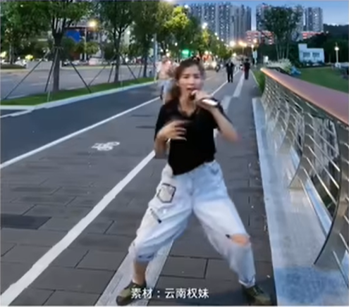 恐龙抗狼梗的意思介绍