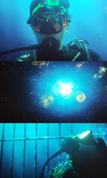 带你去看海底星空梗的意思介绍