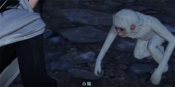 《逆水寒手游》白猿献图奇遇任务流程攻略