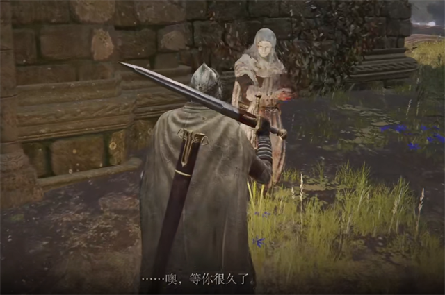 艾尔登法环梵雷的花束在哪里怎么获得？