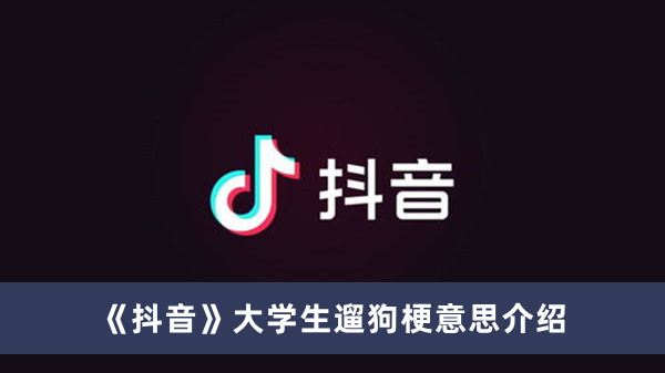 《抖音》大学生遛狗梗意思介绍
