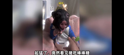 《抖音》起猛了梗意思介绍