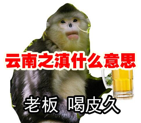 《抖音》云南之滇梗什么意思