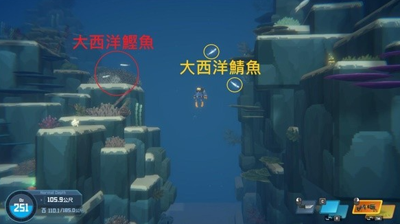 《潜水员戴夫》大西洋鲣鱼分布位置攻略