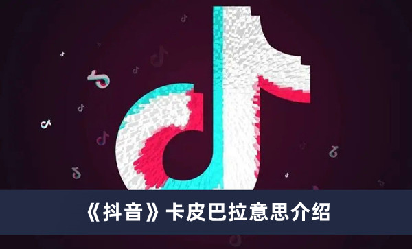 《抖音》卡皮巴拉意思介绍