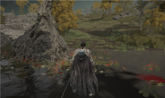 艾尔登法环死眠少女菲雅支线任务攻略