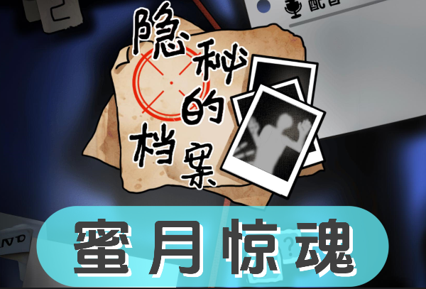 《隐秘的档案》蜜月惊魂怎么过