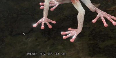 《博德之门3》混沌青蛙的奖励获得方法攻略