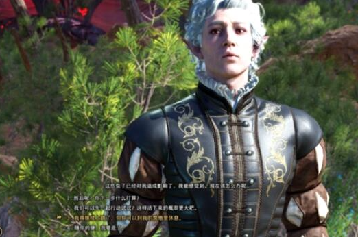 博德之门3苍白的精灵任务全流程