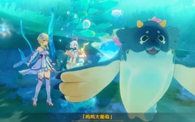 《原神》隐藏任务呜呜葡萄五任务流程攻略