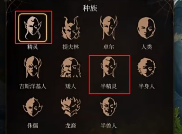 博德之门3法师什么种族合适