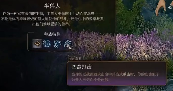 博德之门3野蛮人哪些种族合适