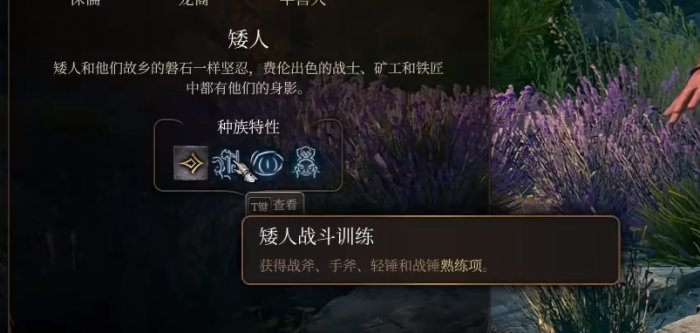 博德之门3野蛮人哪些种族合适