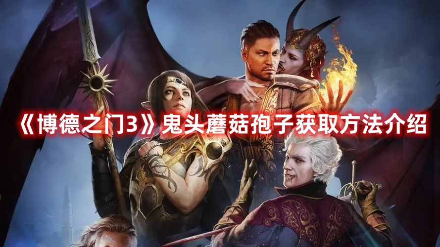 博德之门3鬼头蘑菇孢子哪里购买
