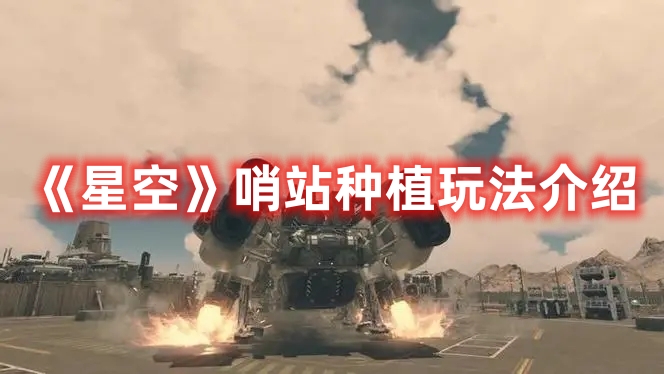 星空怎么在哨站种植