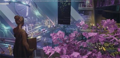 《星空》浪漫好感度提升方法攻略