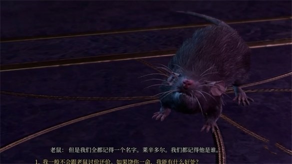 博德之门3怎么触发莎尔铁手神殿老鼠任务