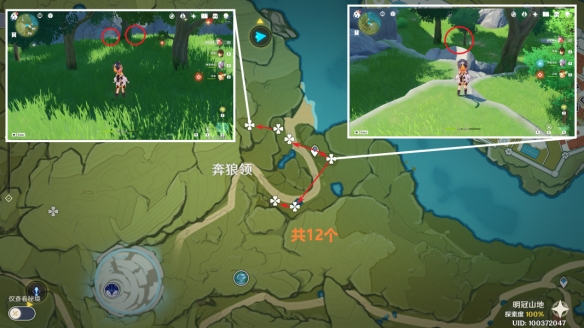 原神4.1小灯草最速采集路线