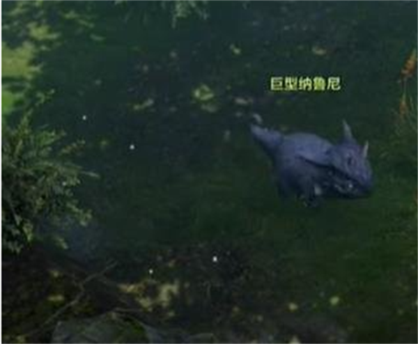 命运方舟纳鲁尼岛之心解锁步骤