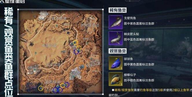 星球重启尖叫戈壁钓鱼点整理