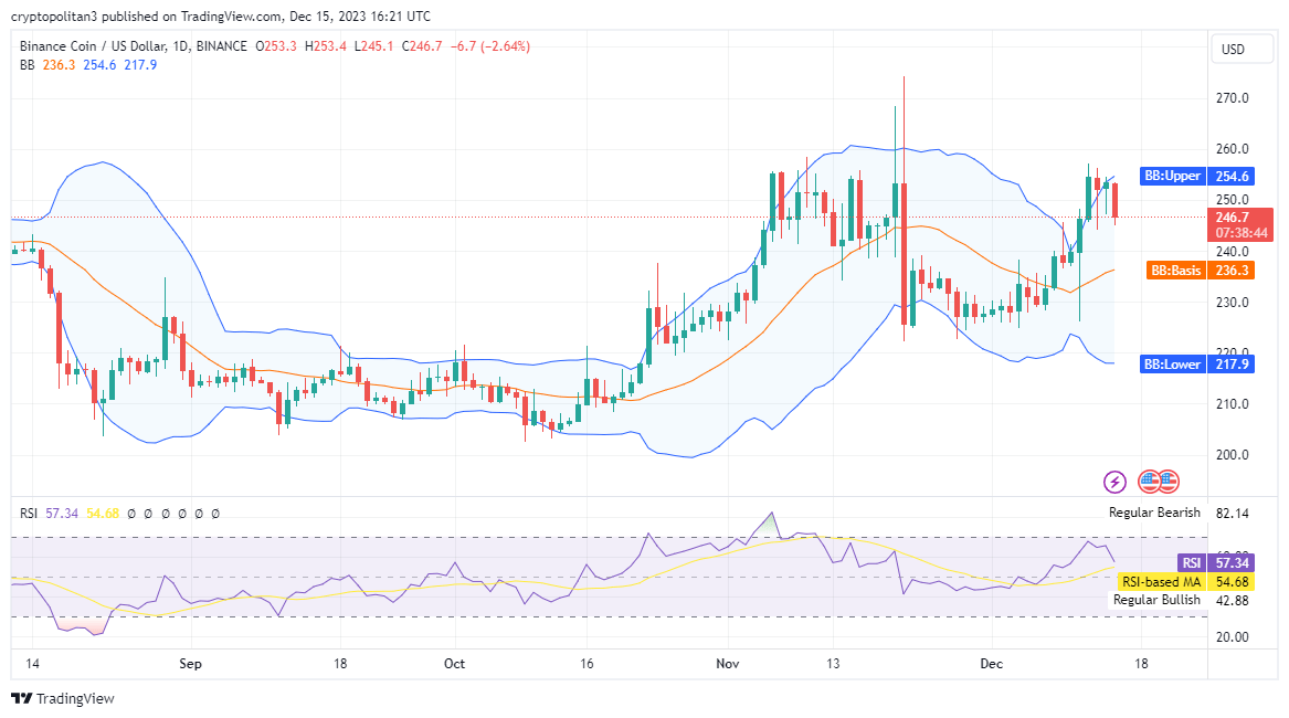 币安币今日（BNB）价格分析12月17日