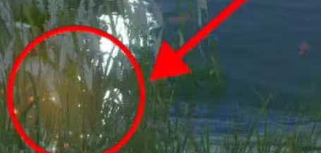 浮生忆玲珑藏宝图位置 浮生忆玲珑藏宝图位置